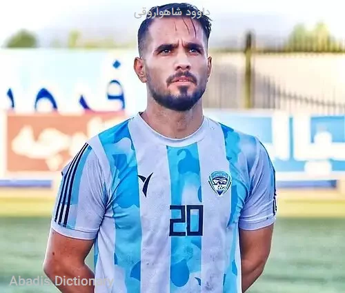 داوود شاهواروقی